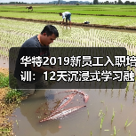 华特2019新员工入职培训:12天沉浸式学习融入企业文化(图2) 华特2019新员工入职培训:12天沉浸式学习融入企业文化(图2)