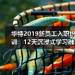 华特2019新员工入职培训：12天沉浸式学习融入企业文化