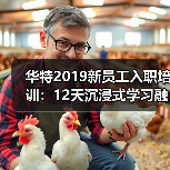 华特2019新员工入职培训:12天沉浸式学习融入企业文化(图3) 华特2019新员工入职培训:12天沉浸式学习融入企业文化(图3)