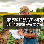 华特2019新员工入职培训:12天沉浸式学习融入企业文化(图4) 华特2019新员工入职培训:12天沉浸式学习融入企业文化(图4)
