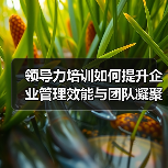 领导力培训如何提升企业管理效能与团队凝聚力?(图2) 领导力培训如何提升企业管理效能与团队凝聚力?(图2)