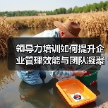 领导力培训如何提升企业管理效能与团队凝聚力?(图1) 领导力培训如何提升企业管理效能与团队凝聚力?(图1)