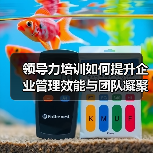 领导力培训如何提升企业管理效能与团队凝聚力?(图3) 领导力培训如何提升企业管理效能与团队凝聚力?(图3)