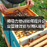 领导力培训如何提升企业管理效能与团队凝聚力?(图4) 领导力培训如何提升企业管理效能与团队凝聚力?(图4)