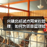 兴赣北延试点阿米巴管理:如何为项目管理赋能?(图1) 兴赣北延试点阿米巴管理:如何为项目管理赋能?(图1)