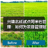 兴赣北延试点阿米巴管理:如何为项目管理赋能?(图2) 兴赣北延试点阿米巴管理:如何为项目管理赋能?(图2)