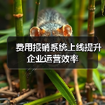 费用报销系统上线提升企业运营效率(图1) 费用报销系统上线提升企业运营效率(图1)