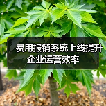 费用报销系统上线提升企业运营效率(图2) 费用报销系统上线提升企业运营效率(图2)