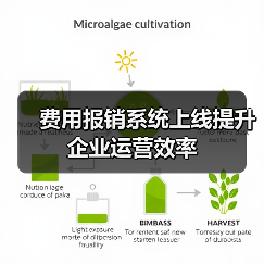 费用报销系统上线提升企业运营效率(图4) 费用报销系统上线提升企业运营效率(图4)