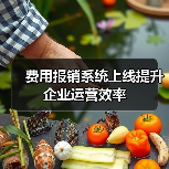 费用报销系统上线提升企业运营效率(图3) 费用报销系统上线提升企业运营效率(图3)