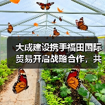 大成建设携手福田国际贸易开启战略合作,共拓全球基建与设备保障新未来(图1) 大成建设携手福田国际贸易开启战略合作,共拓全球基建与设备保障新未来(图1)