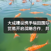 大成建设携手福田国际贸易开启战略合作,共拓全球基建与设备保障新未来(图3) 大成建设携手福田国际贸易开启战略合作,共拓全球基建与设备保障新未来(图3)