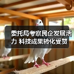 委托局考察民企发展活力 科技成果转化受赞(图2) 委托局考察民企发展活力 科技成果转化受赞(图2)
