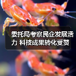 委托局考察民企发展活力 科技成果转化受赞(图1) 委托局考察民企发展活力 科技成果转化受赞(图1)
