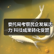 委托局考察民企发展活力 科技成果转化受赞(图3) 委托局考察民企发展活力 科技成果转化受赞(图3)