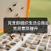 党支部组织生活会推动党员素质提升(图1) 党支部组织生活会推动党员素质提升(图1)