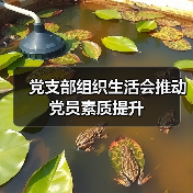 党支部组织生活会推动党员素质提升(图3) 党支部组织生活会推动党员素质提升(图3)