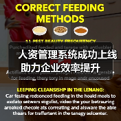 人资管理系统成功上线 助力企业效率提升(图2) 人资管理系统成功上线 助力企业效率提升(图2)