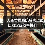 人资管理系统成功上线 助力企业效率提升(图1) 人资管理系统成功上线 助力企业效率提升(图1)