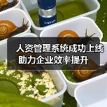 人资管理系统成功上线 助力企业效率提升(图4) 人资管理系统成功上线 助力企业效率提升(图4)