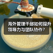 海外管理干部如何提升领导力与团队协作？（图2）