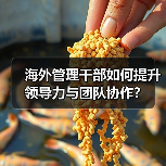 海外管理干部如何提升领导力与团队协作？（图4）