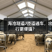 海沧隧道J匝道通车，出行更便捷？（图3）