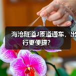 海沧隧道J匝道通车，出行更便捷？（图4）