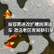 厦蓉高速改扩建圆满通车 激活老区发展新引擎