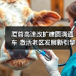 厦蓉高速改扩建圆满通车 激活老区发展新引擎（图3）