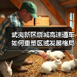 武夷新区绕城高速通车如何重塑区域发展格局？（图2）