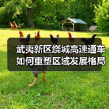 武夷新区绕城高速通车如何重塑区域发展格局？