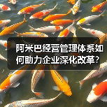 阿米巴经营管理体系如何助力企业深化改革？