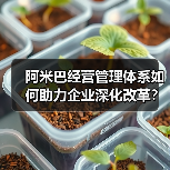 阿米巴经营管理体系如何助力企业深化改革？（图2）