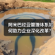 阿米巴经营管理体系如何助力企业深化改革？（图4）
