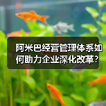阿米巴经营管理体系如何助力企业深化改革？（图3）