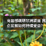 商务部调研非洲项目 民企发展如何持续受益？（图2）