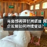 商务部调研非洲项目 民企发展如何持续受益？（图3）