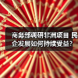 商务部调研非洲项目 民企发展如何持续受益？（图4）