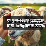 交通部长调研厦蓉高速扩建 拉动闽西老区交通发展