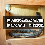 探访武夷新区绕城项目标准化建设：如何实现高效施工？