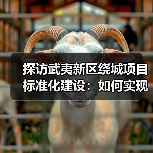 探访武夷新区绕城项目标准化建设：如何实现高效施工？（图2）
