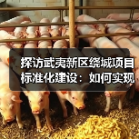 探访武夷新区绕城项目标准化建设：如何实现高效施工？（图3）