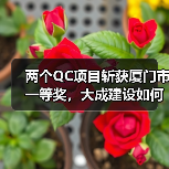 两个QC项目斩获厦门市一等奖，大成建设如何实现质量突破？