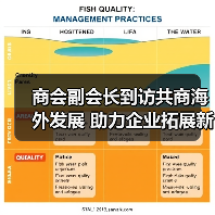 商会副会长到访共商海外发展 助力企业拓展新机遇（图2）