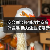 商会副会长到访共商海外发展 助力企业拓展新机遇（图3）