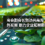 商会副会长到访共商海外发展 助力企业拓展新机遇（图4）