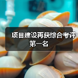 项目建设再获综合考评第一名（图2）