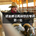 项目建设再获综合考评第一名