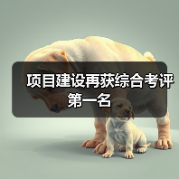 项目建设再获综合考评第一名（图3）